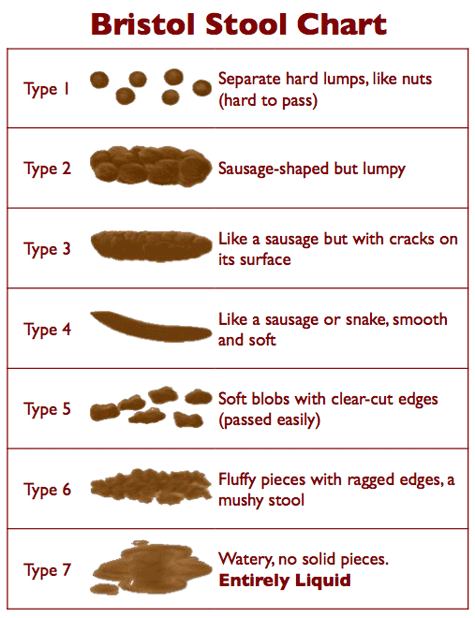 Bristol Stool Chart