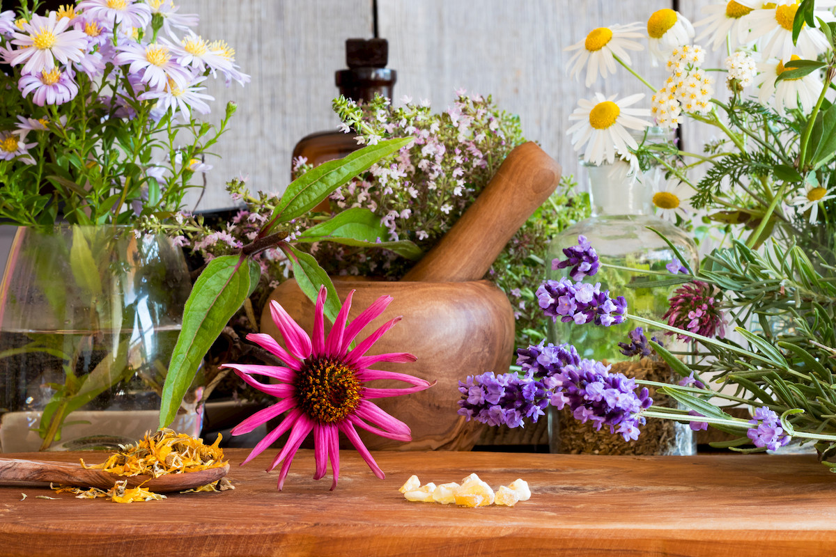 Squooshed Colorful Herbs With Crucible Coneflower 1