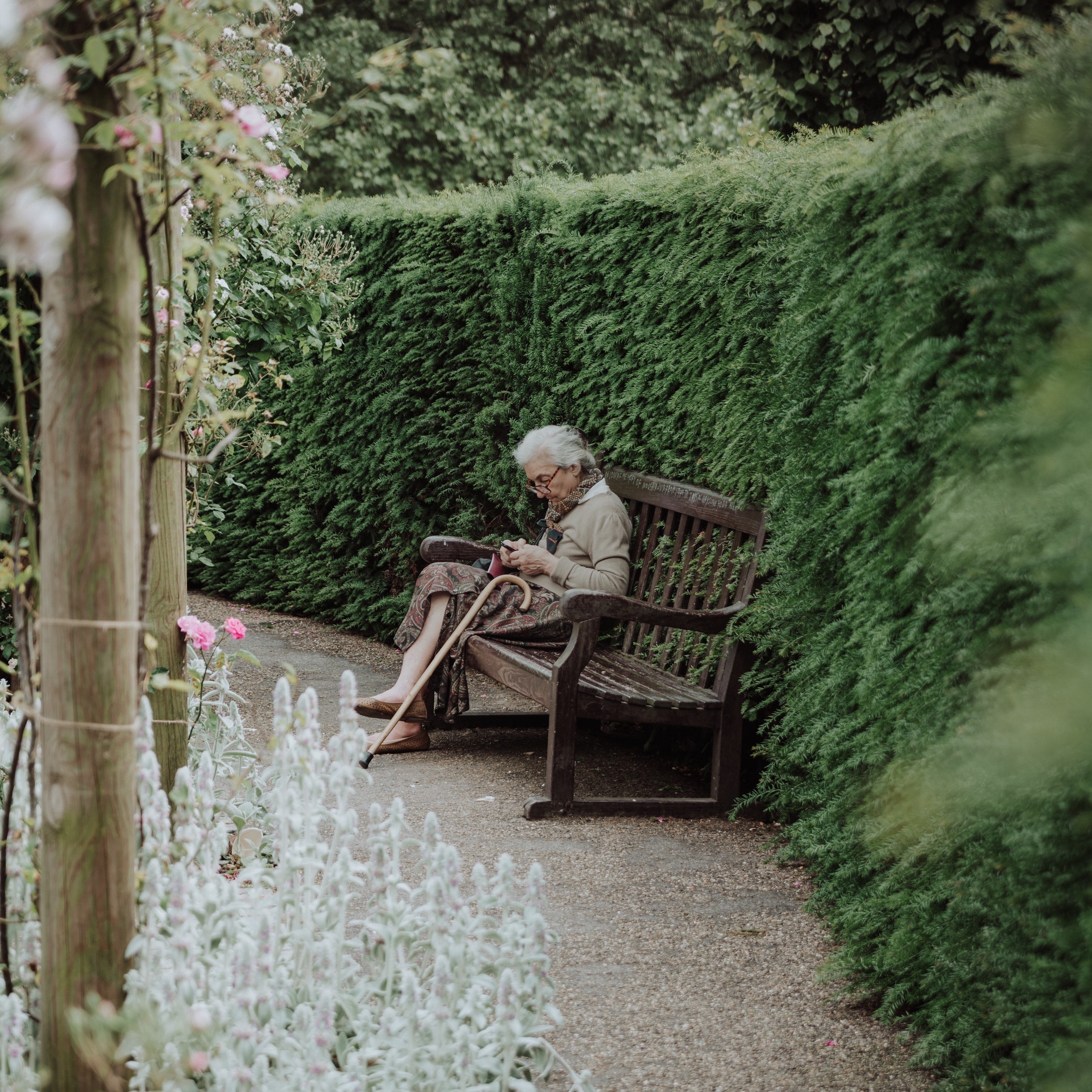 Old woman sits in a garden bench reading a book