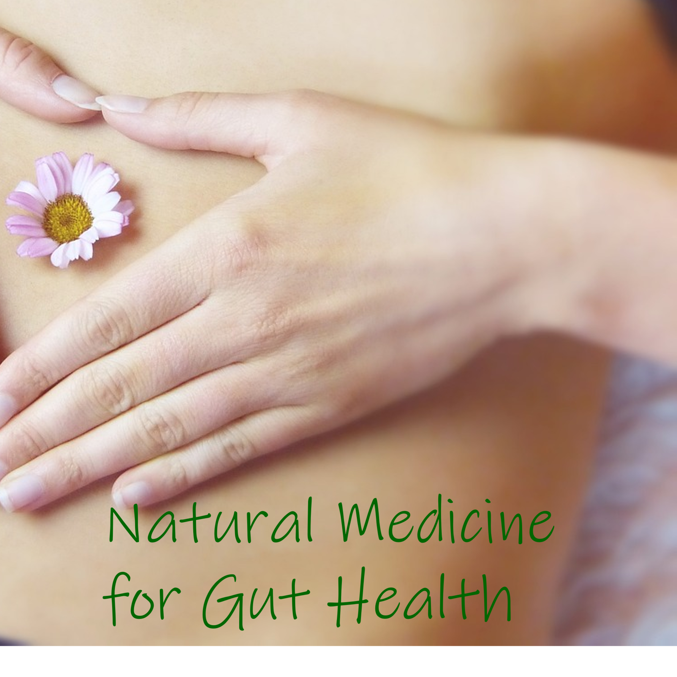 Natural Medicine For Gut Health