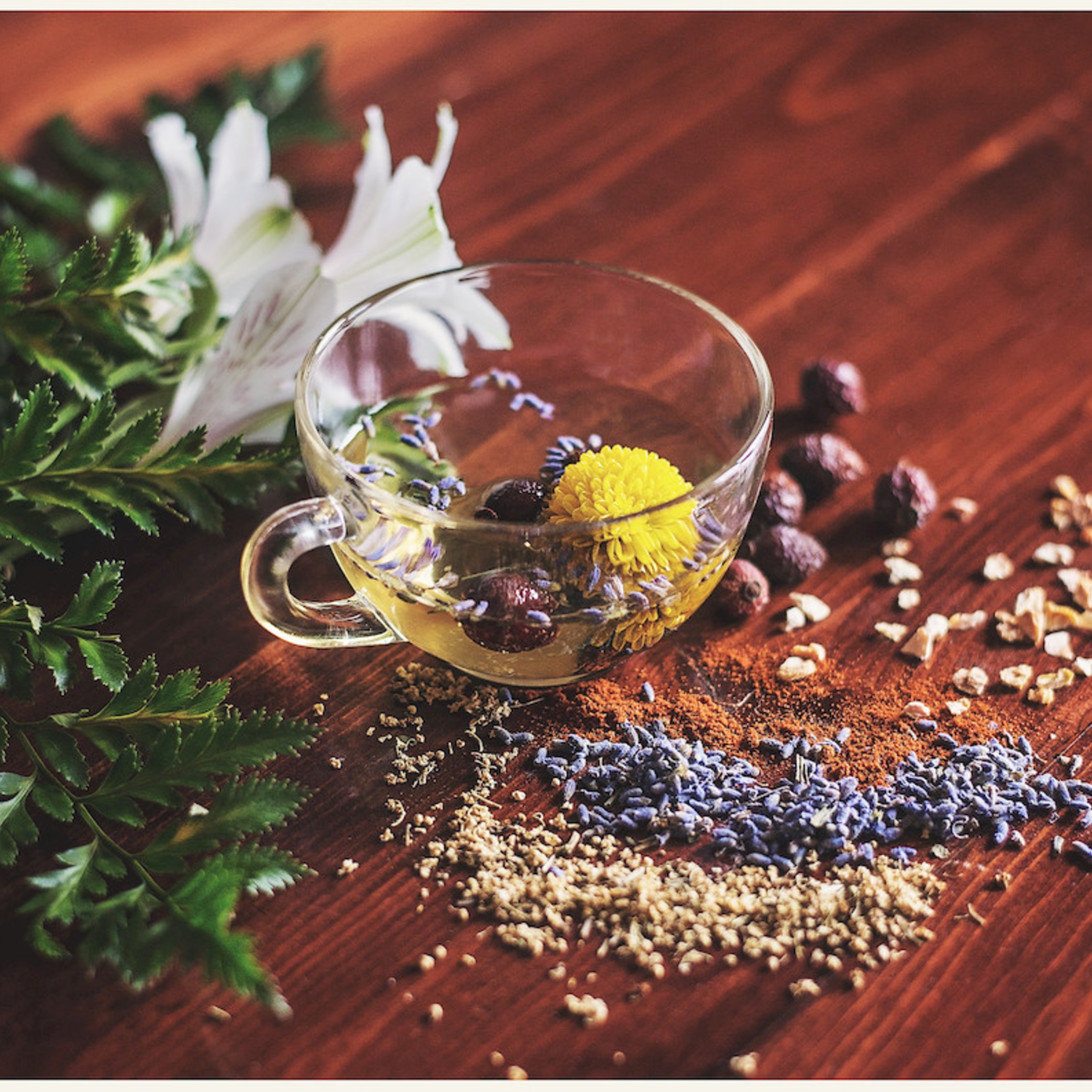 Squooshed Herbal Teacup 1