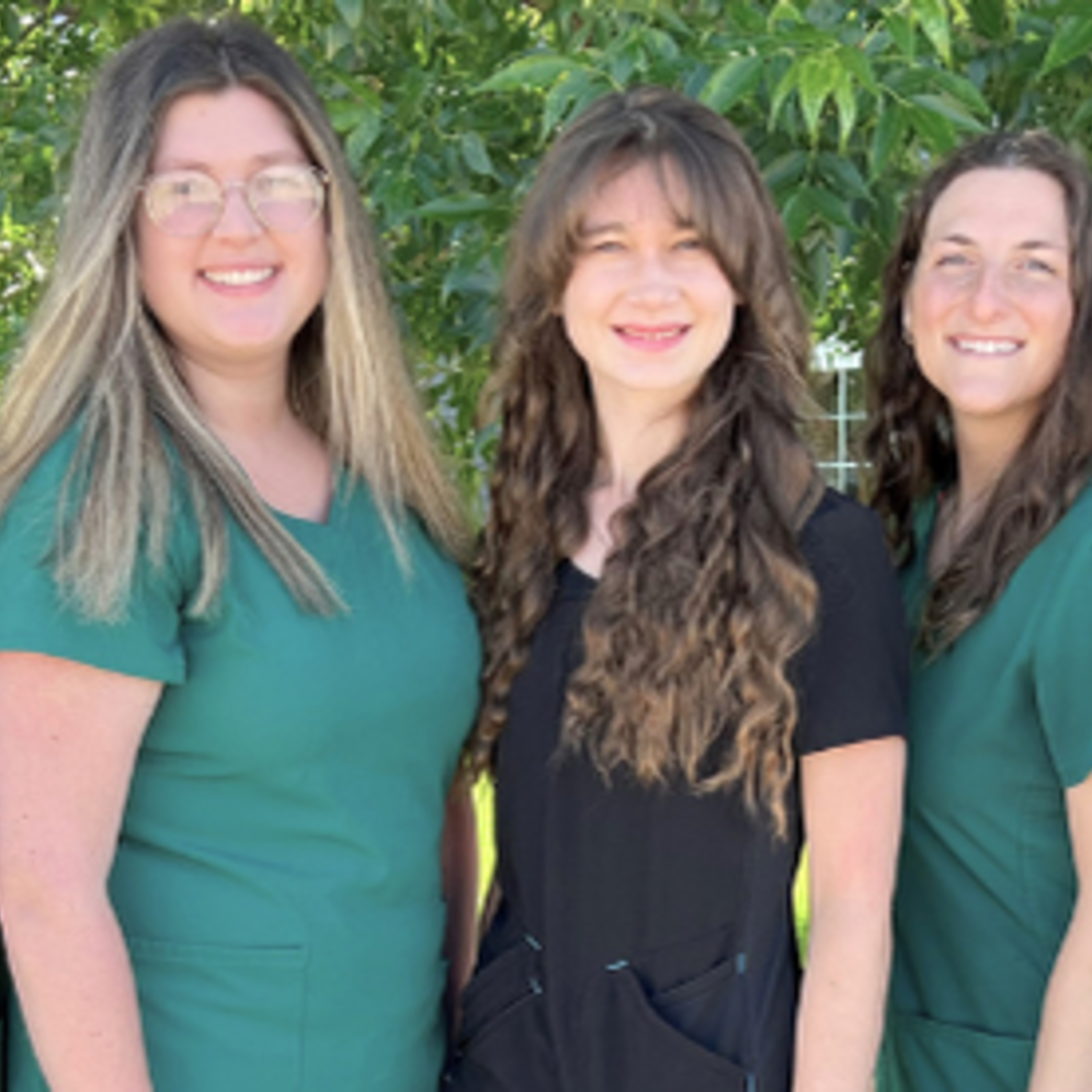 Untitled Design   2024 08 05t113417.211