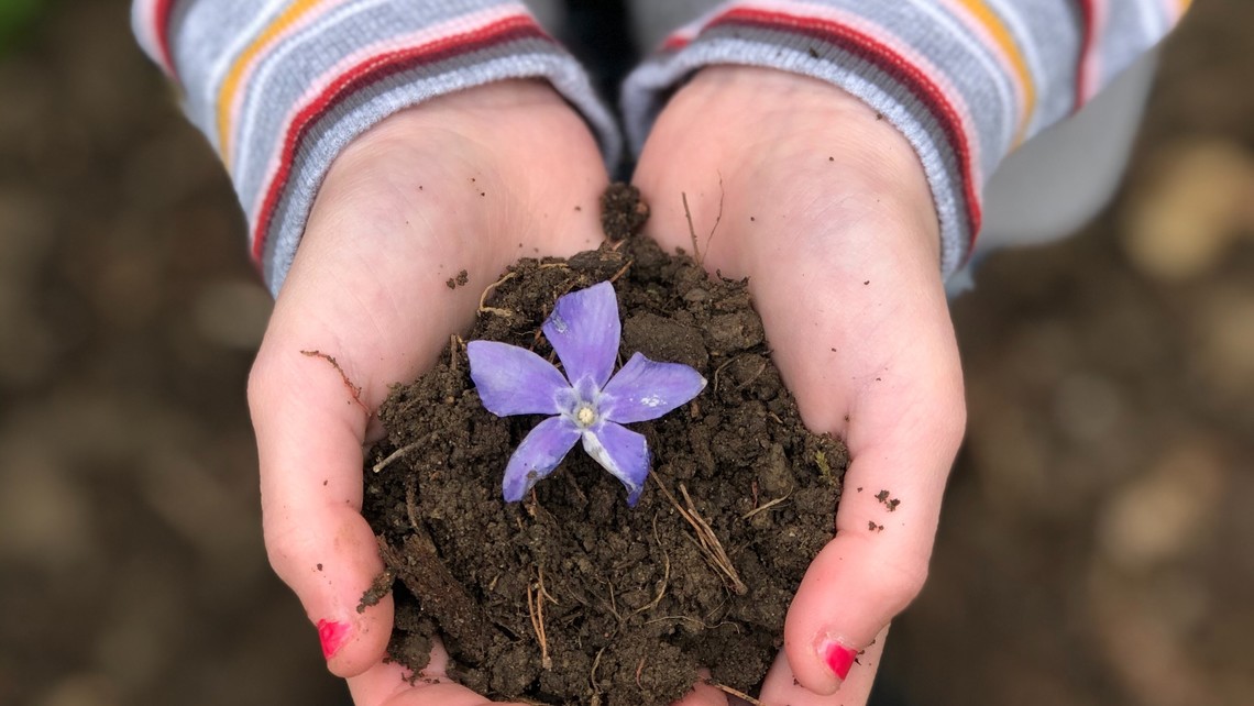 Woman holds dirt with a purple flower
