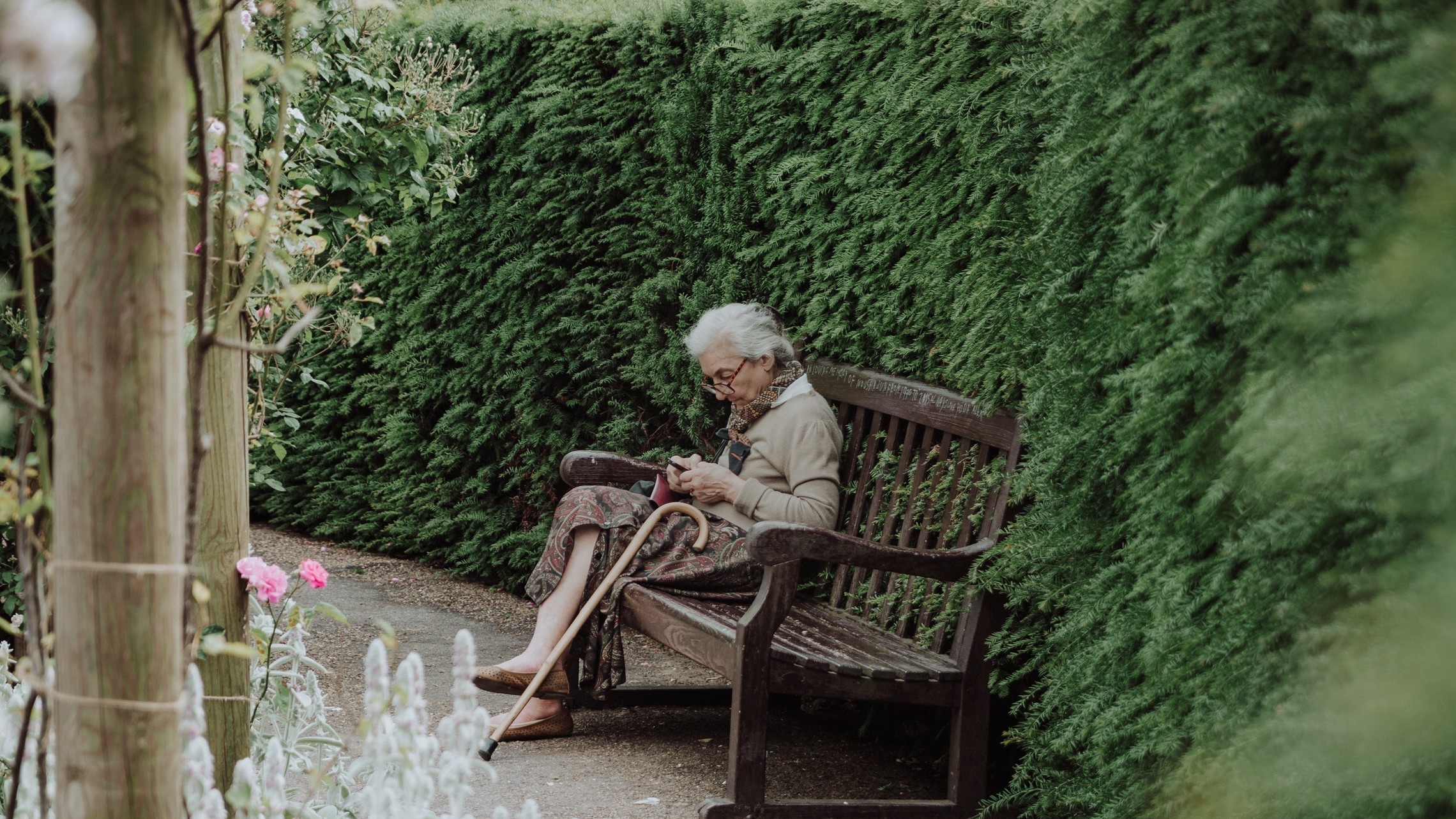 Old woman sits in a garden bench reading a book