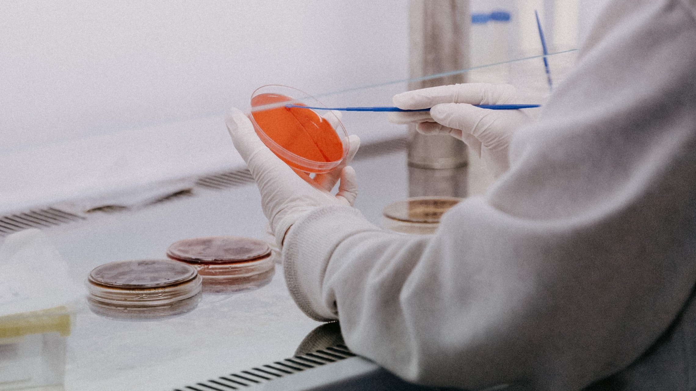 Image: a lab technician with a petri dish