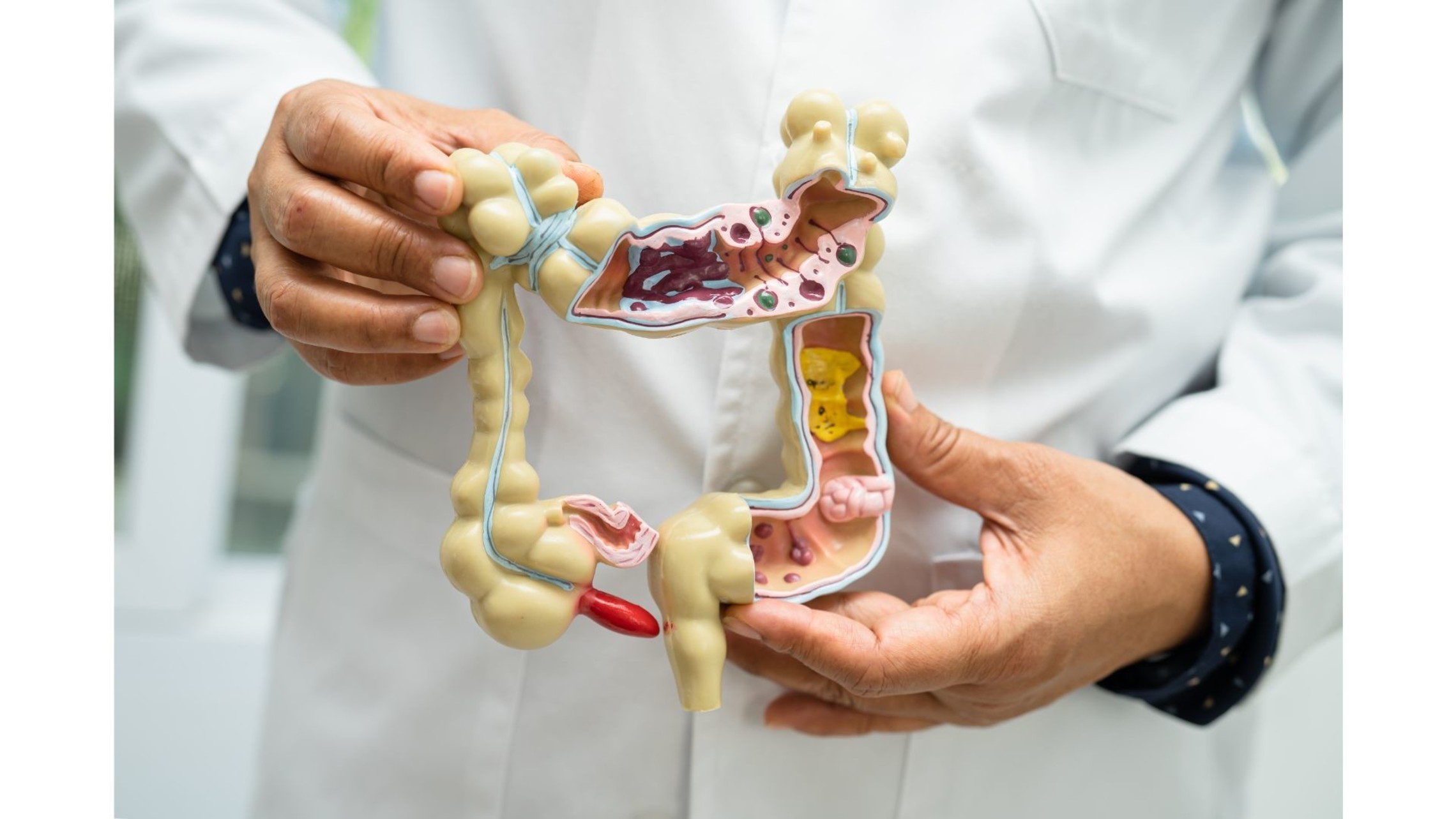 Harmonizing Your Gut A Symphony Of Healing For Digestive Distress